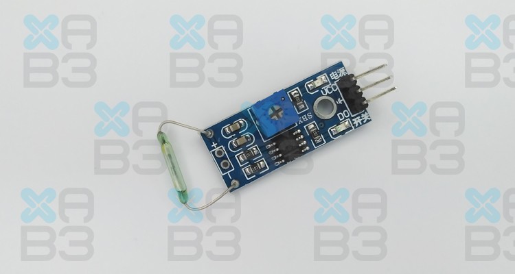 Modul switch magnetic Reed